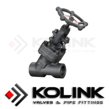 Y Globe Valve (Forged Steel) pour DIN, API Standard